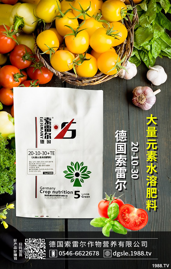 ��η����������~�����������~���ķ��δ�ʩ��