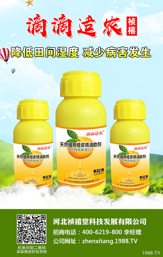 �＾��ݮ��ι������ܸ߮a���＾��ݮ��ֲ�������g��