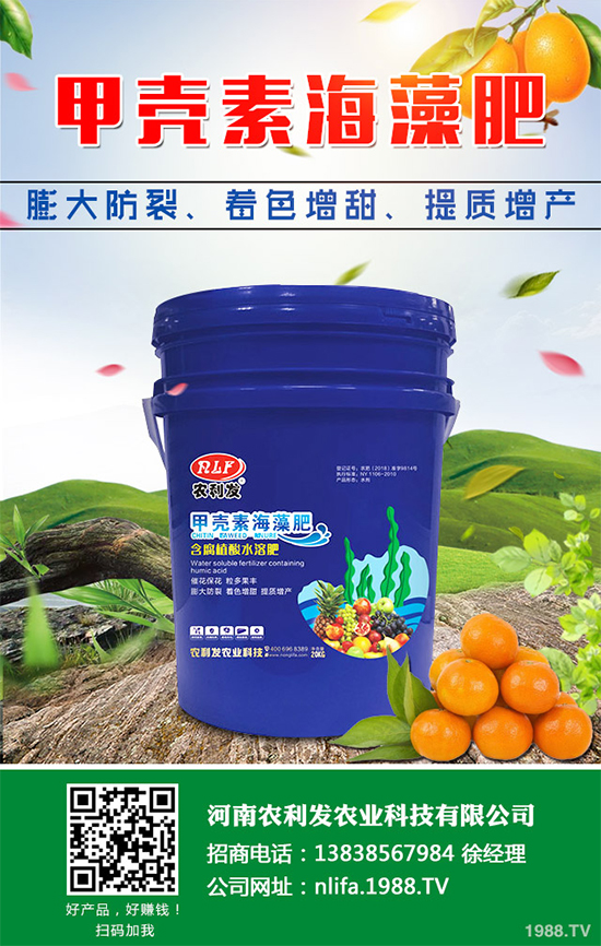 大蔥干尖是咋回事？怎樣解決？大蔥干尖的原因及防治