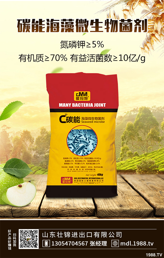 ���[�ϰ߲�����ЩΣ�������������ģ����[�ϰ߲��ķ��δ�ʩ