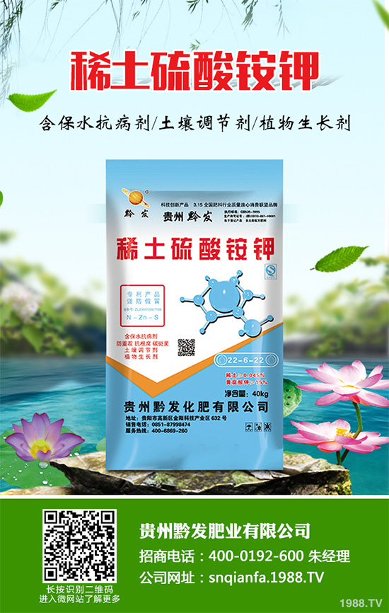 萵苣什么時(shí)候種植？萵苣高產(chǎn)種植方案