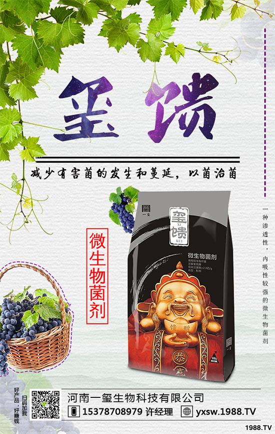     北方怎樣種植藍莓？種植藍莓應該注意什么？