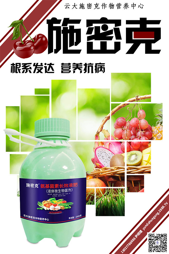 ���[˪ù��Σ���޴����������������ģ����[˪ù�����δ�ʩ