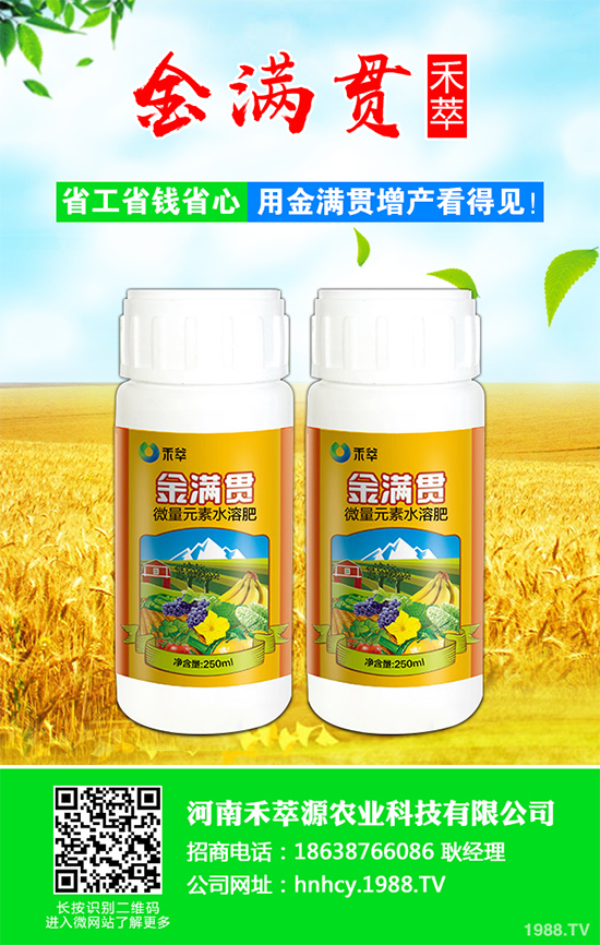 大蔥軟腐病危害這么大，到底該如何防治？大蔥軟腐病的癥狀及防治方法