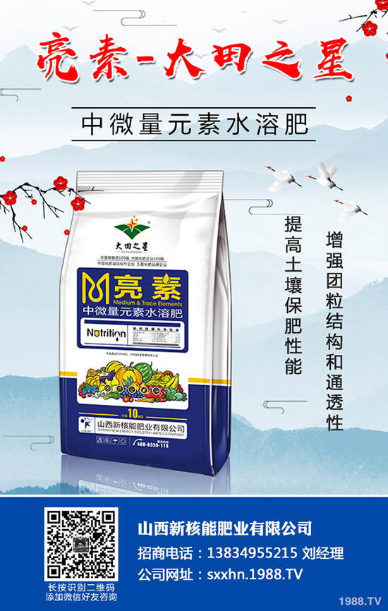 �＾�߲�����������＾���õ������С���������g(sh��)��