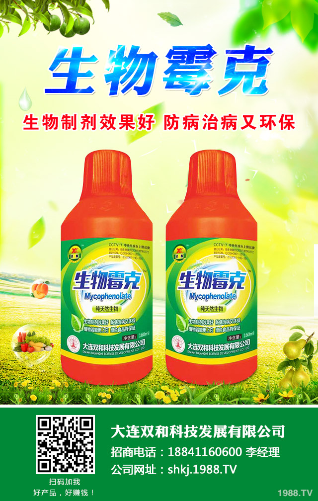 西瓜霜霉病怎么辦？西瓜霜霉病的防治很關鍵