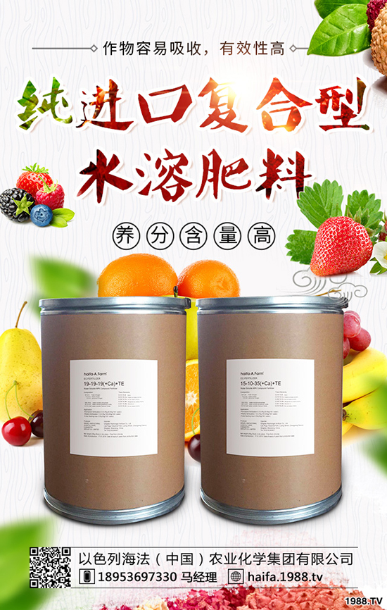 甘藍菜怎么種植，教你正確種植甘藍的辦法！