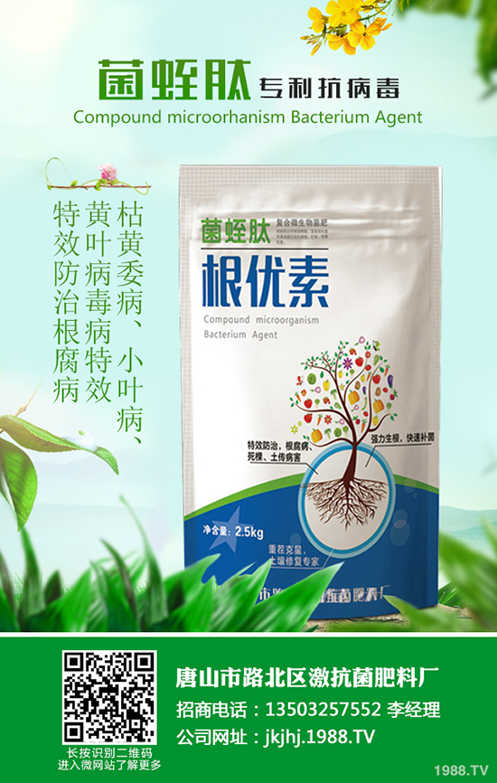 甘蔗怎么種好吃，甘蔗的種植技術(shù)有哪些？