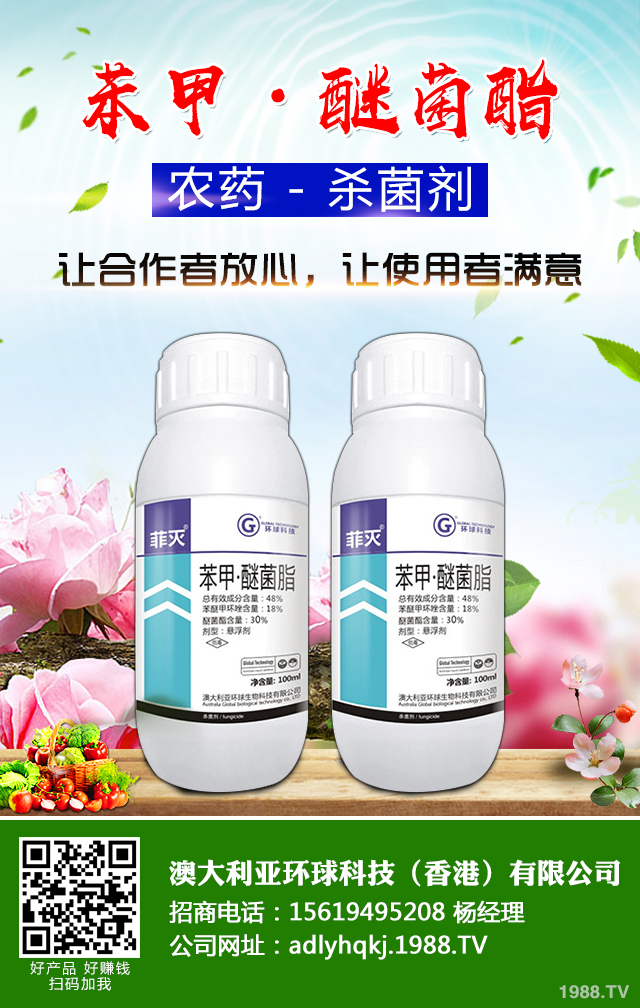 大棚黃瓜疫病怎么辦？大棚黃瓜疫病防治技巧