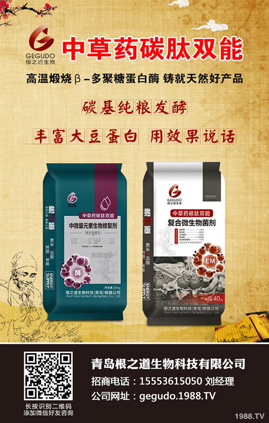 柑橘十月有什么管理注意事項?怎樣管理?柑橘10月管理指導(dǎo)建議!