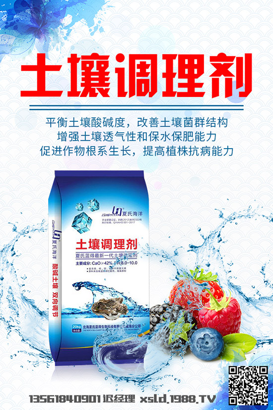 大白菜爛根是什么原因，大白菜爛根的發(fā)生原因及防治方法！