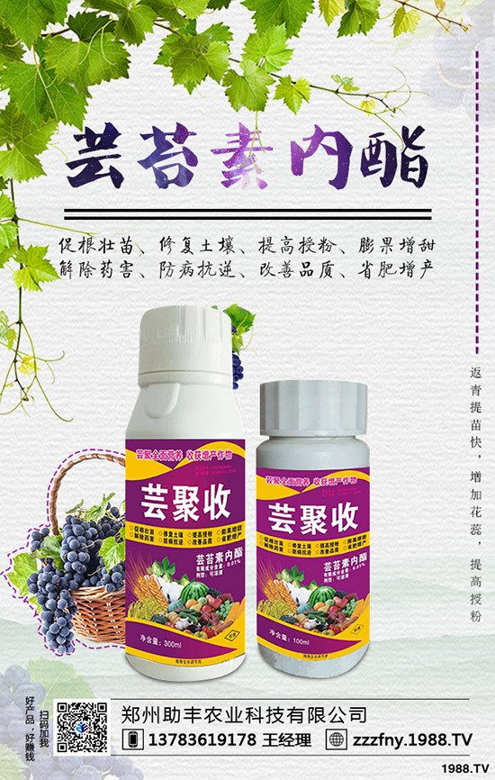 �J�������ժ�ģ��J����ժ����ʲô��̎��