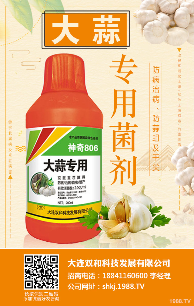 大蒜重茬病害如何防治？大蒜重茬病害防治技巧