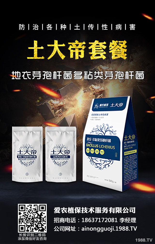 �ﲥС����ô����|(zh��)�����ﲥС������|(zh��)����Ҫ�c(di��n)