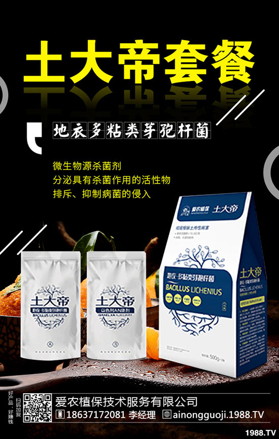 九月份可以種什么蔬菜？2019年9月蔬菜種植指南!