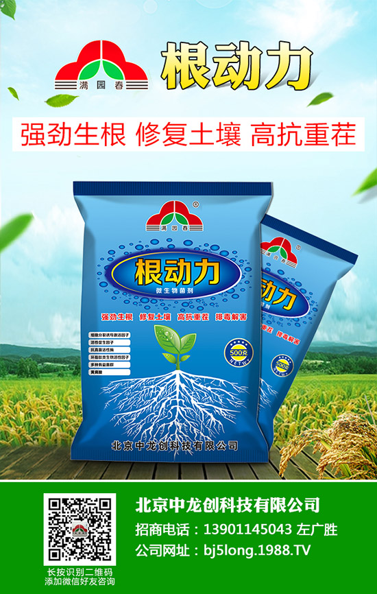 ������̦���l(f��)��ԭ������Щ��������̦�����δ�ʩ��