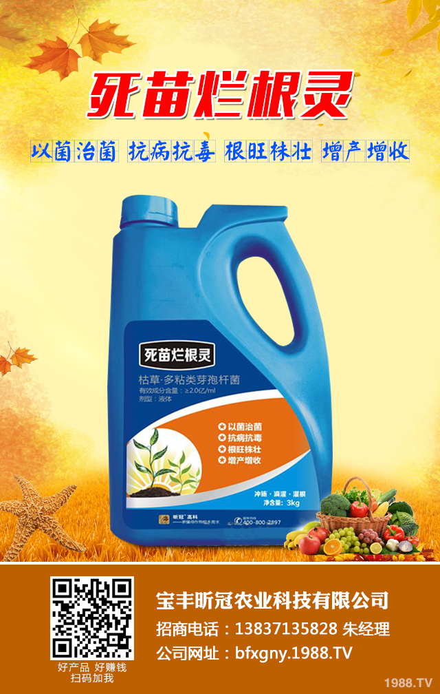 菜豌豆死苗怎么辦？菜豌豆死苗有效防治技巧