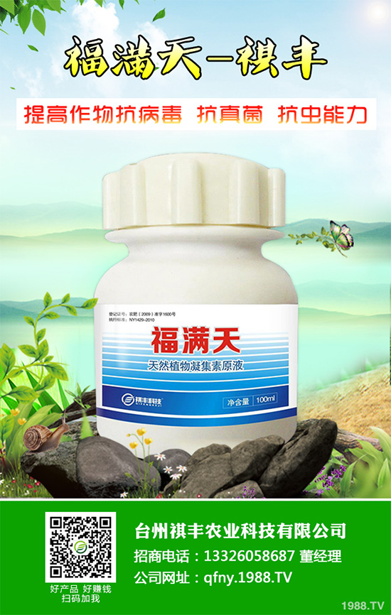 吃萵苣有哪些好處？常見(jiàn)萵苣的做法