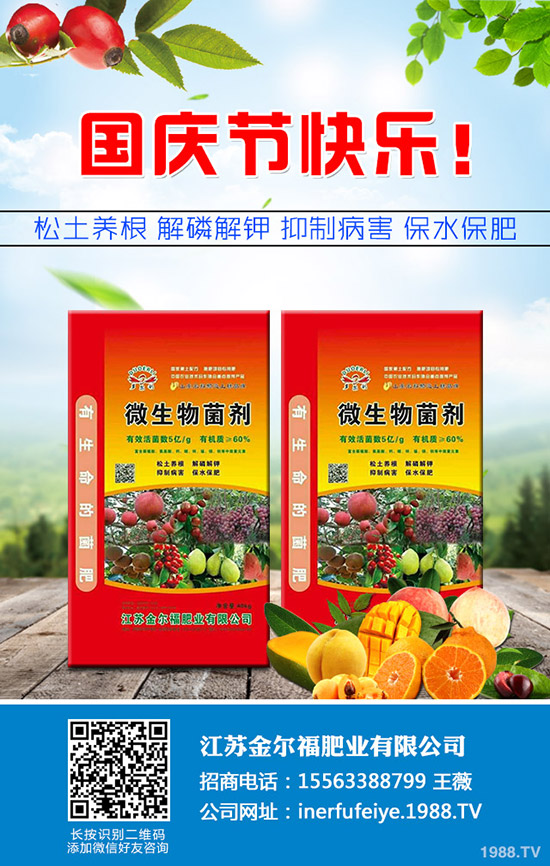     秋季香菜如何種植？香菜種植時間及種植技術(shù)、管理注意事項！