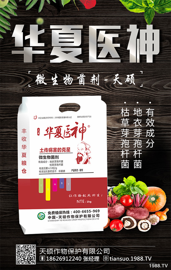     萵苣灰霉病有哪些危害癥狀？是如何引起的？快來看看吧！