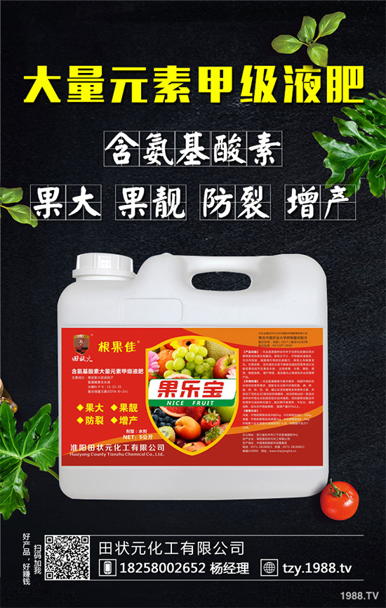     萵苣灰霉病有哪些危害癥狀？是如何引起的？快來看看吧！