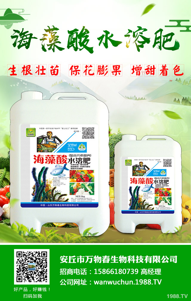 蔬菜怎么管理?低溫陰雨天氣蔬菜管理技巧