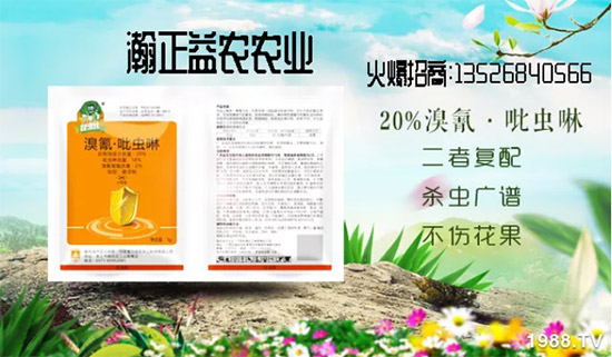 ��������r(n��ng)��ף�V��(j��ng)�N��2020���I(y��)�v�w�������������ã�