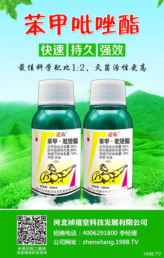 ���䚢�����r��