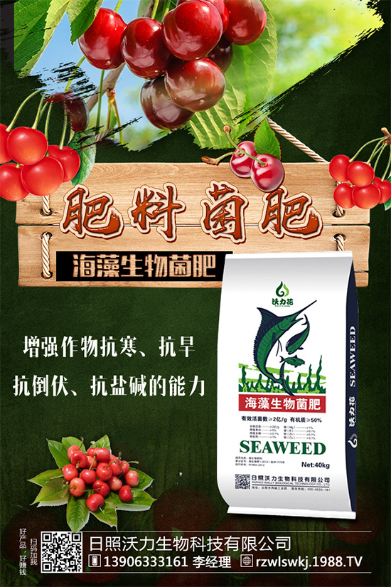 ������ôʩ����ʩʲô���ϣ�����ʩ��Ҫ�c(di��n)��