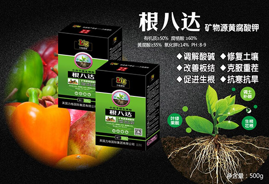 【英國力格】祝您2020年心想事成!萬事如意!鼠年大吉!