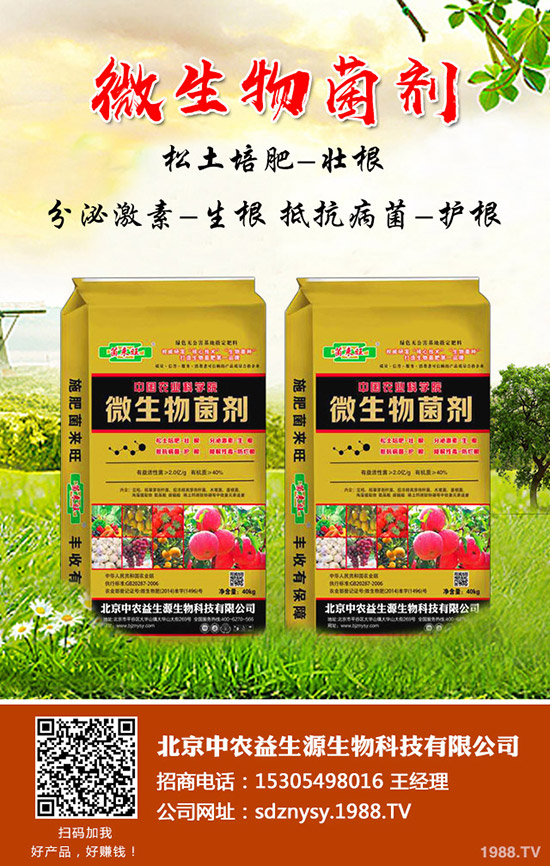     冬季小麥到底是年前澆水還是年后小麥澆水！有什么注意事項(xiàng)！