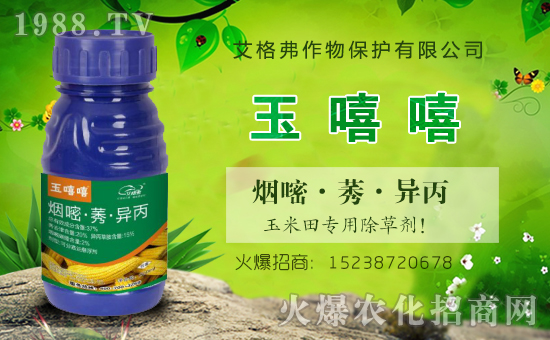 【艾格弗作物】祝新老朋友新春快樂,生意興隆,萬(wàn)事如意,闔家安康!