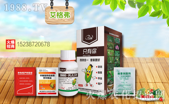 【艾格弗作物】祝新老朋友新春快樂,生意興隆,萬(wàn)事如意,闔家安康!