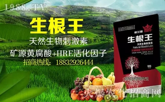 【田加力】祝大家在新的一年里身體健康,闔家歡樂(lè)!