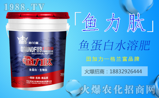 【田加力】祝大家在新的一年里身體健康,闔家歡樂(lè)!