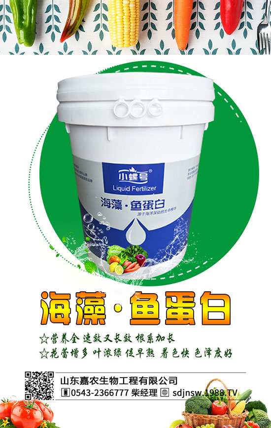 黃花菜什么季節(jié)種植好？2020年黃花菜種植前景及利潤分析！