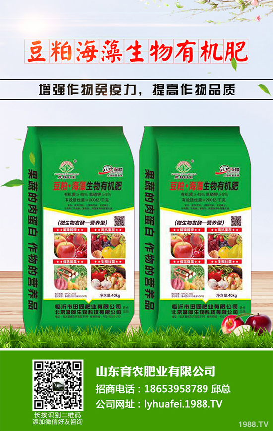 �۲����߲�����ЩΣ���Y�����۲����߲��İY����δ�ʩ