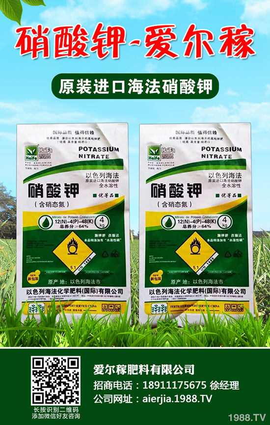 常吃蘆筍對人體有哪些好處？蘆筍的功效作用及營養(yǎng)價(jià)值