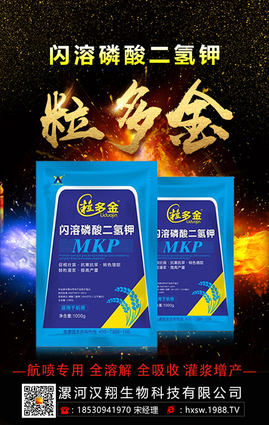 ������ηNֲ�θ߮a(ch��n)���أ����ӵĿƌW(xu��)�Nֲ������