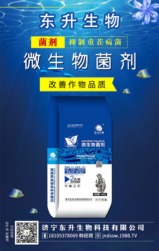 石榴樹什么時候嫁接好？石榴樹嫁接方法有哪些呢？