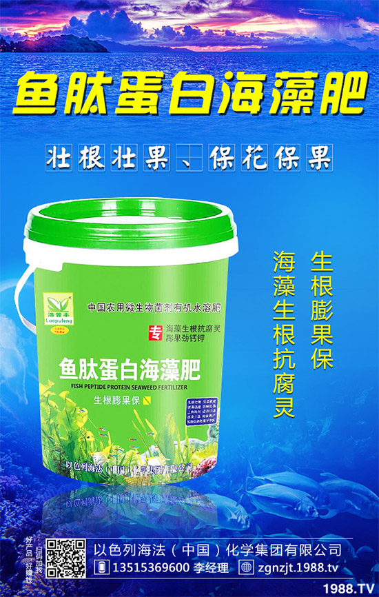 芹菜病毒病有哪些危害？該如何防治？芹菜病毒病的危害與防治