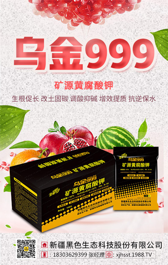 【新疆黑色生態(tài)】全體員工恭祝新老朋友:新年快樂!萬事如意!夜夜“鼠”錢!