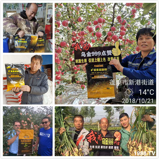 【新疆黑色生態(tài)】全體員工恭祝新老朋友:新年快樂!萬事如意!夜夜“鼠”錢!