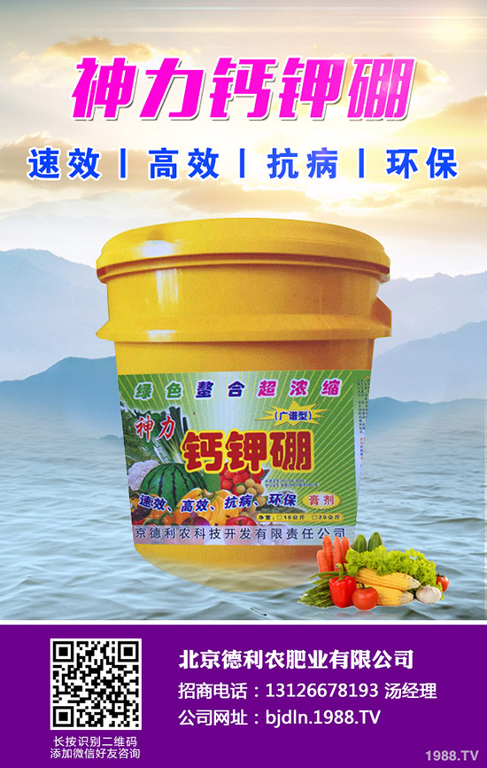 2020�괺��(ji��)ǰ⛷ʃr���ϝq������2020-1-17��⛷������߄ݷ�����