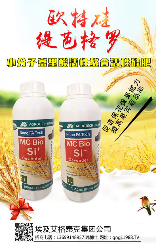 ���������Y(ji��)��������ô���£��������������������