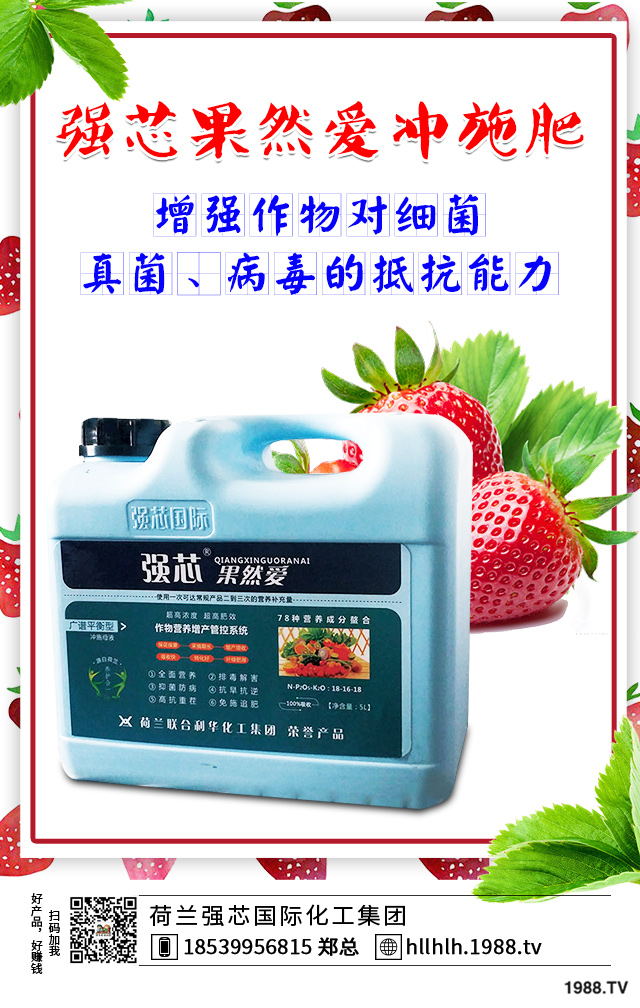 2020年種植什么蔬菜能掙錢？2020年蔬菜種植前景分析