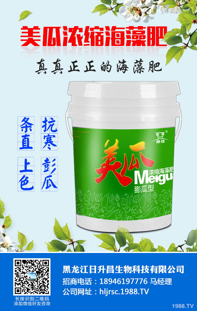 2020年種植什么蔬菜能掙錢？2020年蔬菜種植前景分析