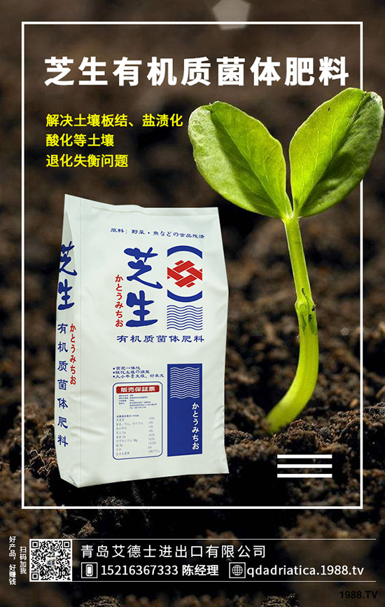 ��������Щ�I�B(y��ng)�r(ji��)ֵ�����ҵĹ�Ч�c������ʲô������xُ��