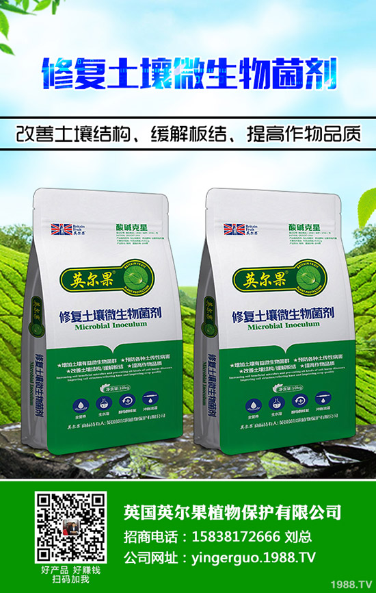     2020��1��2�ս��Շ�(gu��)��(n��i)����(f��)�Ϸ�����r(ji��)�����(b��o)��