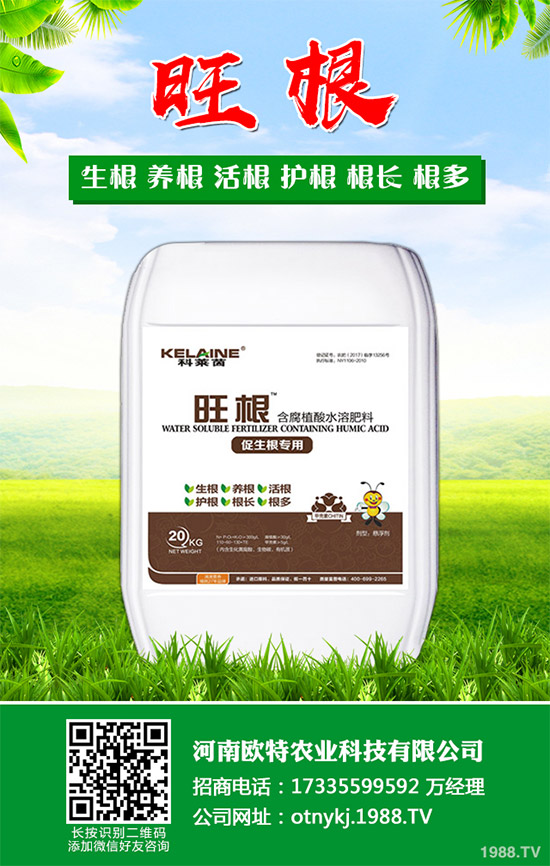 紅藤有哪些神奇功效?紅藤的功效作用及禁忌人群